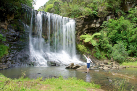 Mokoroa Falls Track Entrance